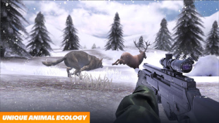 Hunting Fever