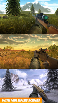 Hunting Fever