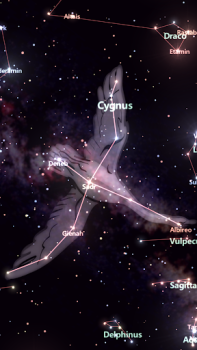 Download Star Tracker - Mobile Sky Map Pendidikan untuk Android tangkapan layar 2