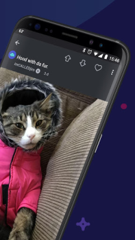 Download Imgur: Funny Memes & GIF Maker Foto untuk Android tangkapan layar 2