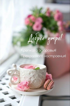 Download Доброе утро Добрый вечер Hiburan untuk Android tangkapan layar 2