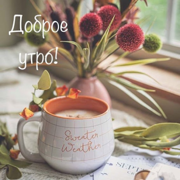 Download Доброе утро Добрый вечер Hiburan untuk Android tangkapan layar 3