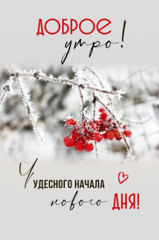 Download Доброе утро Добрый вечер Hiburan untuk Android tangkapan layar 7