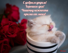 Download Прикольные с добрым утром Hiburan untuk Android tangkapan layar 2