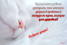 Download Прикольные с добрым утром Hiburan untuk Android tangkapan layar 5