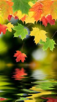 Download HD Wallpapers Personalisasi untuk Android tangkapan layar 2