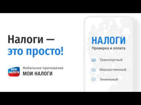 Download Мои налоги: личный кабинет Keuangan untuk Android tangkapan layar 8