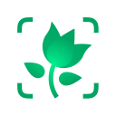 Download  PictureThis - Plant Identifier