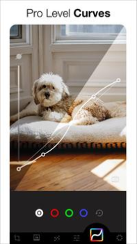 Download AI Photo Editor - Lumii Foto untuk Android tangkapan layar 6